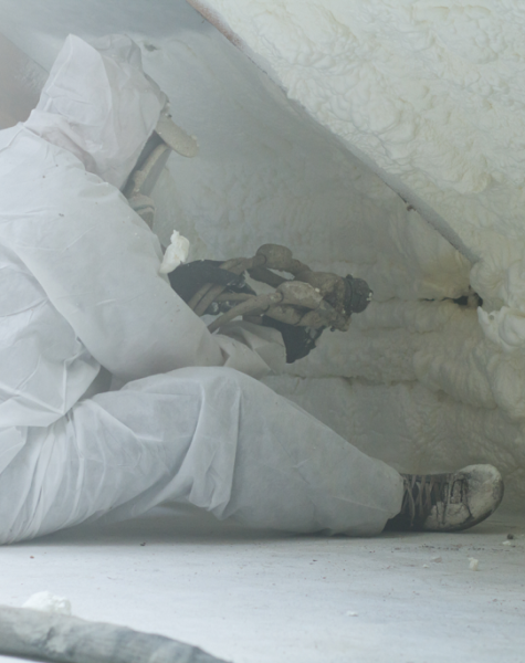 Canada Foam Insulation - Img (2) Canada Foam Insulation - Img (2)